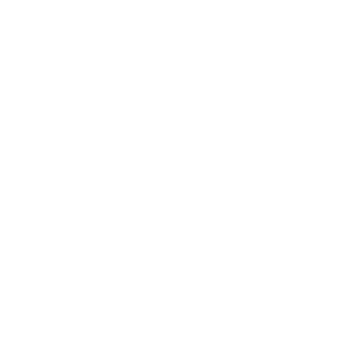 CINECA white logo
