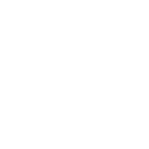 CSC white logo