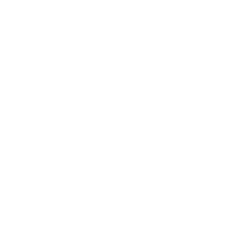 prg ai white logo
